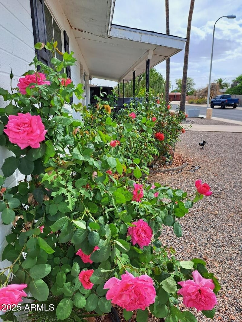 639 57th Pl, Mesa, AZ 85205