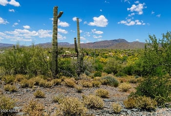6400 E Military Rd #-, Cave Creek, AZ 85331