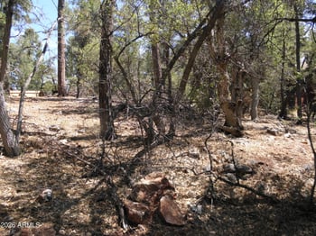 6454 Bradshaw Dr #116, Pine, AZ 85544