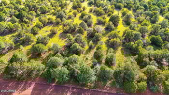 6482 Pinonharvest Blvd #-, Williams, AZ 86046