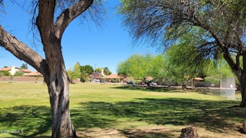 649 Avenida Sierra Madre --, Gilbert, AZ 85296