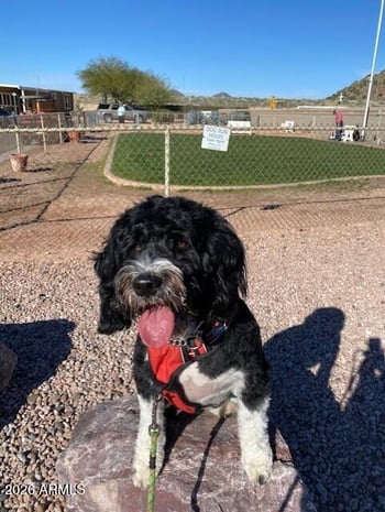 650 Hawes Rd #3129, Mesa, AZ 85207