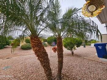 650 Hawes Rd #4411, Mesa, AZ 85207