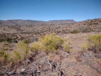 65000 Red Rover Mine Rd #-, Unincorporated County, AZ 85331