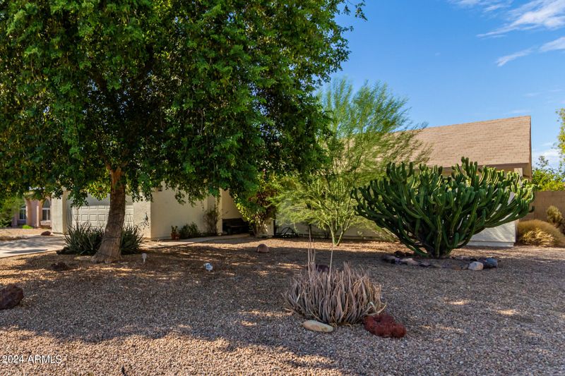 6516 W Mountain View Rd, Glendale, AZ 85302