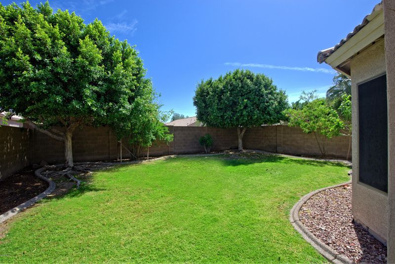 6523 W Saddlehorn Rd, Phoenix, AZ 85083