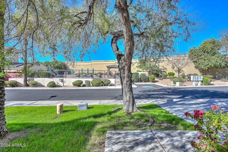 6533 N 18th Pl, Phoenix, AZ 85016