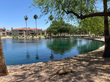 6535 Superstition Springs Blvd #217, Mesa, AZ 85206