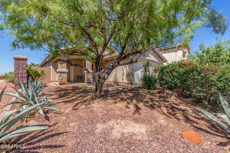 6584 S 258th Dr, Buckeye, AZ 85326