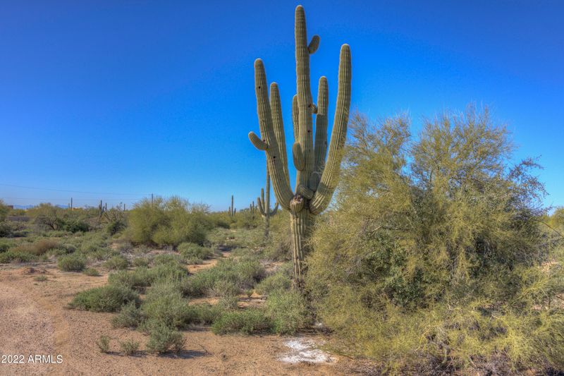 65XX E Dove Valley Rd #-, Cave Creek, AZ 85331