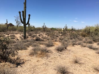 65xx E Wildcat Dr #-, Cave Creek, AZ 85331