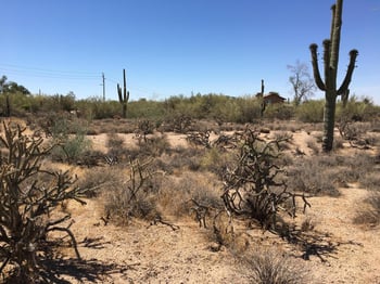 65xx E Wildcat Dr #-, Cave Creek, AZ 85331