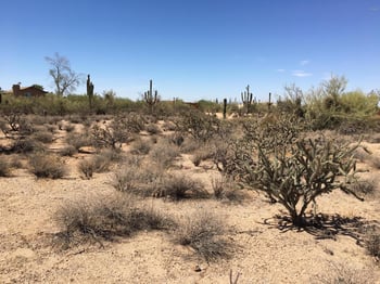 65xx E Wildcat Dr #-, Cave Creek, AZ 85331