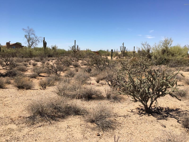65xx E Wildcat Dr #-, Cave Creek, AZ 85331