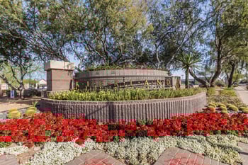 6602 Spring Rd, Scottsdale, AZ 85254