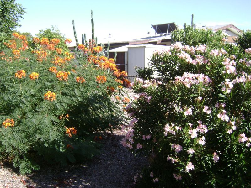 6611 E Ellis St, Mesa, AZ 85205