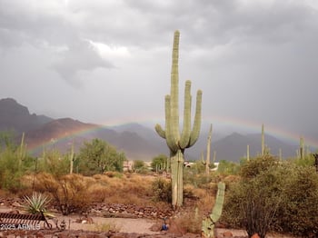 6619 Quail Hideaway Ln, Gold Canyon, AZ 85119