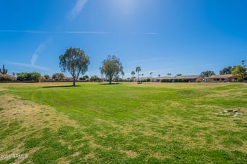 663 Saguaro Way, Mesa, AZ 85208