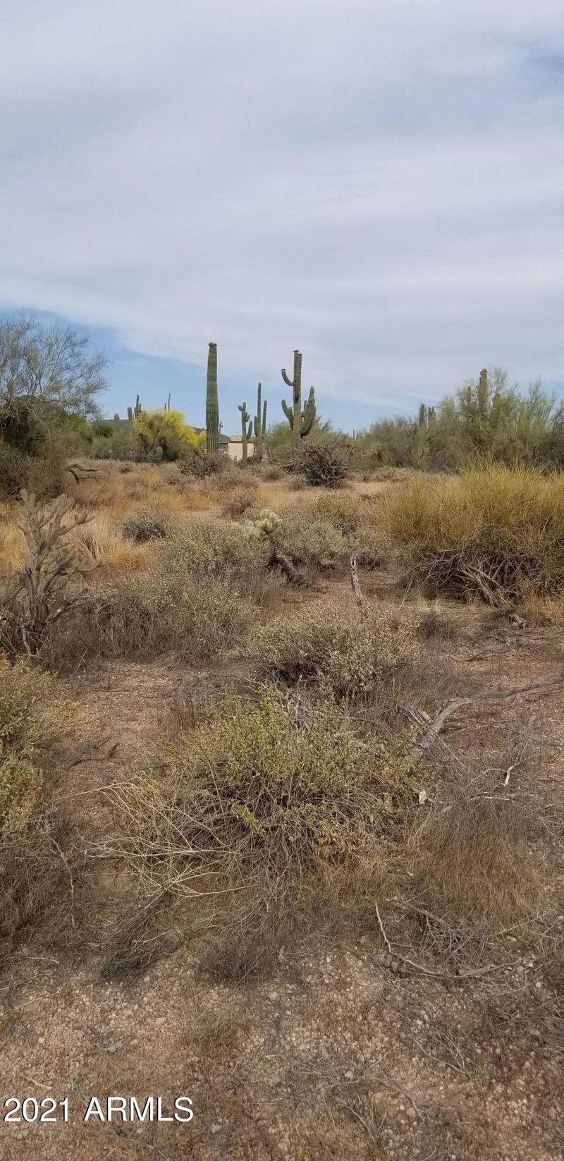 66xx E Milton -- #1, Cave Creek, AZ 85331