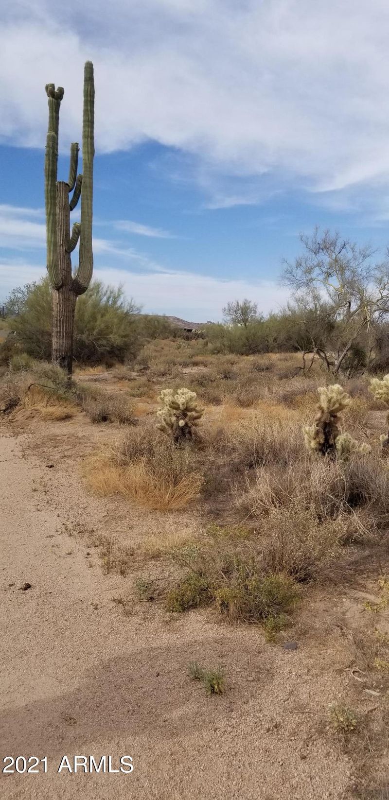 66xx E Milton -- #1, Cave Creek, AZ 85331