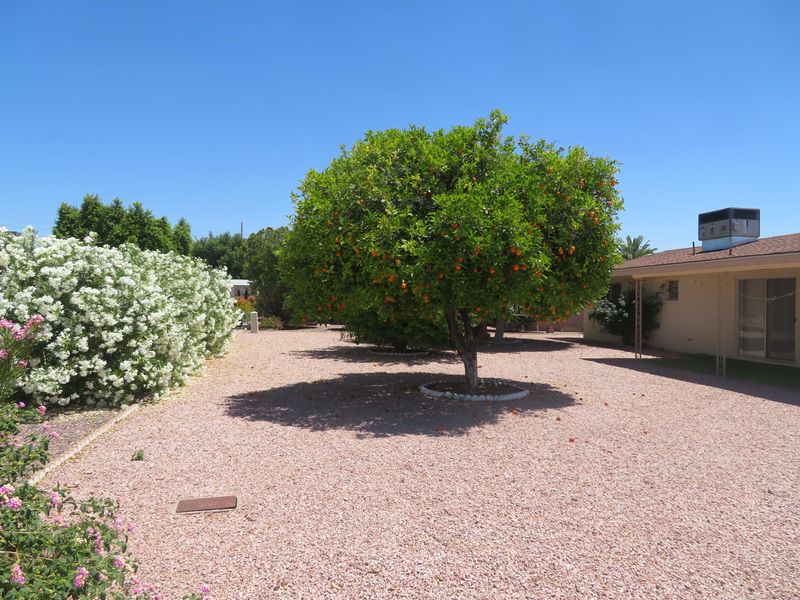 6714 E Adobe St, Mesa, AZ 85205