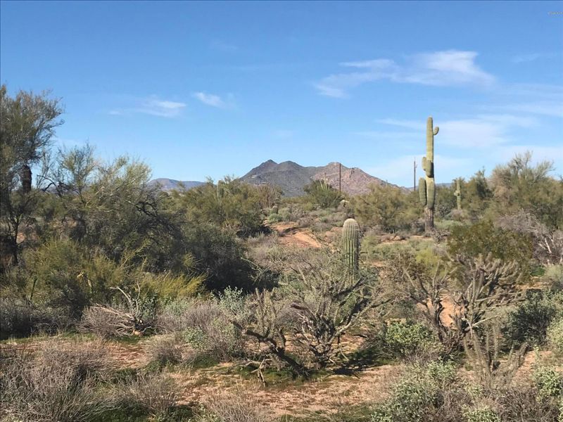 6740 E Milton Dr #-, Cave Creek, AZ 85331