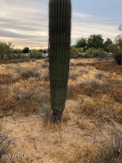 6753 E Lone Mountain Rd #-, Cave Creek, AZ 85331