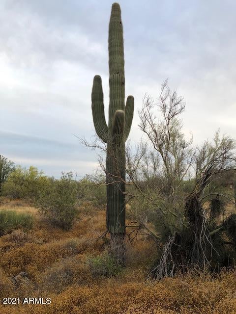 6753 E Lone Mountain Rd #-, Cave Creek, AZ 85331
