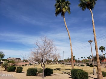 678 Fremont Dr, Tempe, AZ 85282