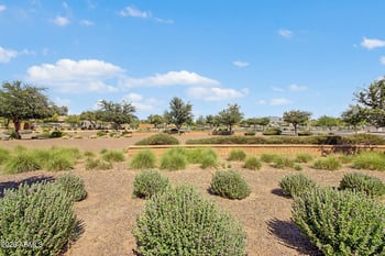6806 Harwell Rd, Laveen, AZ 85339