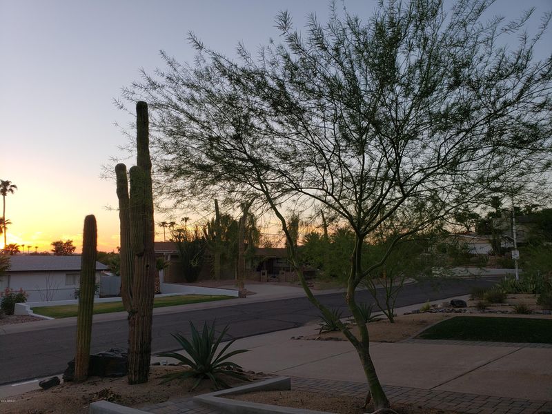 6821 N 23rd Pl, Phoenix, AZ 85016