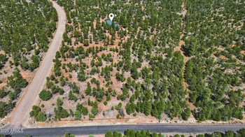 6841 Whispering Pine Dr, Happy Jack, AZ 86024
