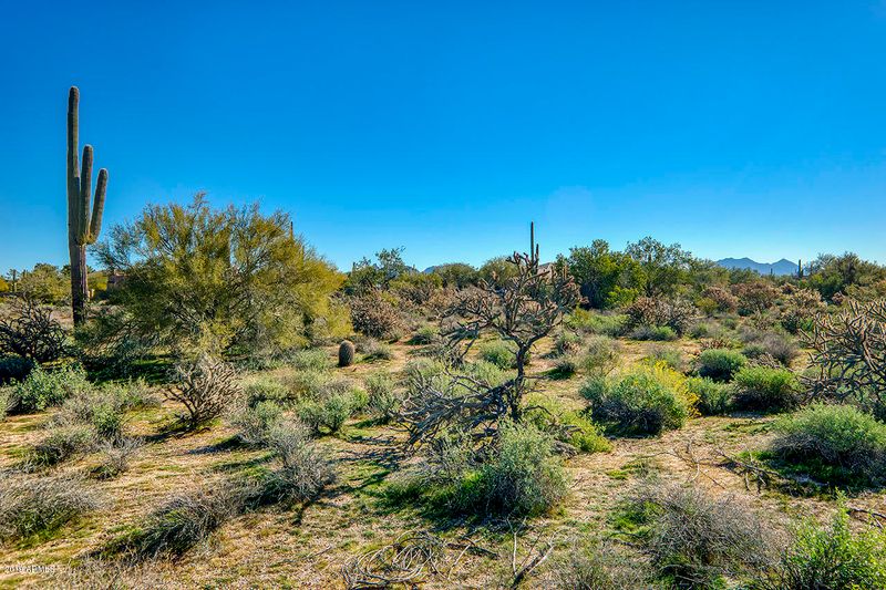 6874 E Lomas Verdes Dr #3, Scottsdale, AZ 85266