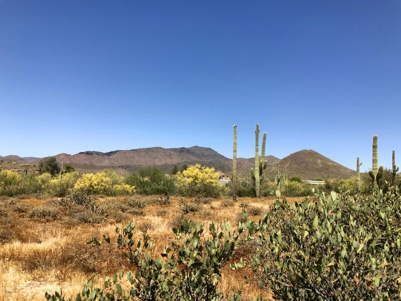 68XX E Highland Rd #-, Cave Creek, AZ 85331