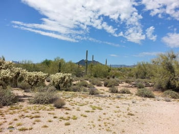 6900-6800 E Montgomery Rd #--, Scottsdale, AZ 85266