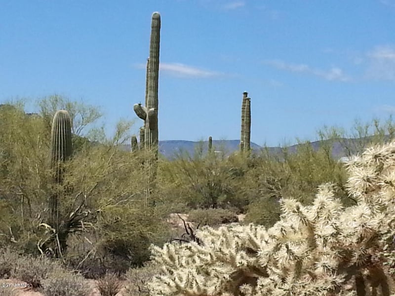 6900-6800 E Montgomery Rd #--, Scottsdale, AZ 85266