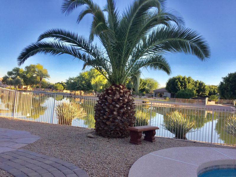 6967 W Firebird Dr, Glendale, AZ 85308