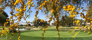 6972 Nantucket St, Chandler, AZ 85249