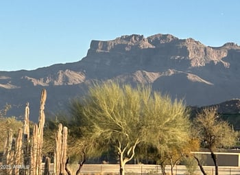 6973 Hacienda La Noria Ln, Gold Canyon, AZ 85118