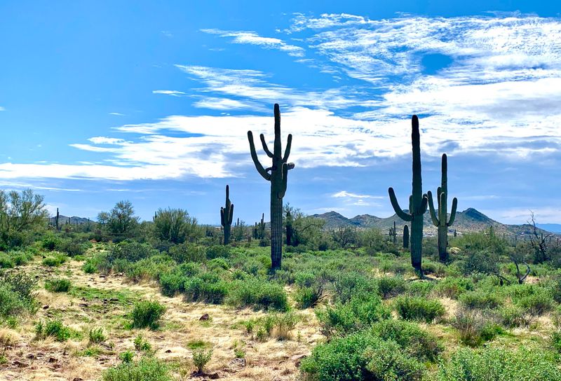 6975 E Grand View Ln #103, Apache Junction, AZ 85119