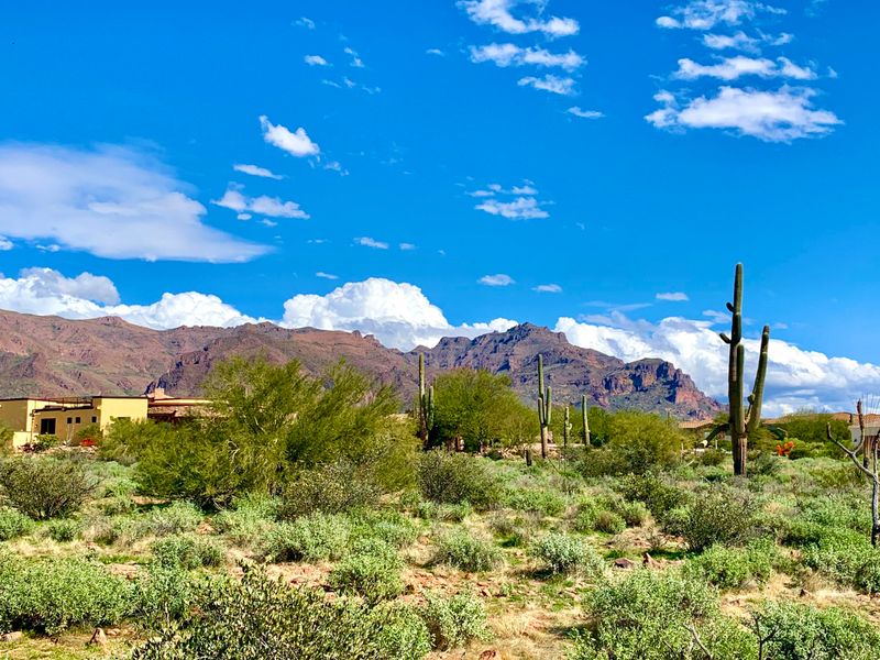 6975 E Grand View Ln #103, Apache Junction, AZ 85119