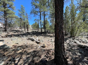 70 Orchid Dr, Williams, AZ 86046