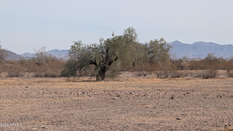 7000 419th Ave #1001, Tonopah, AZ 85354