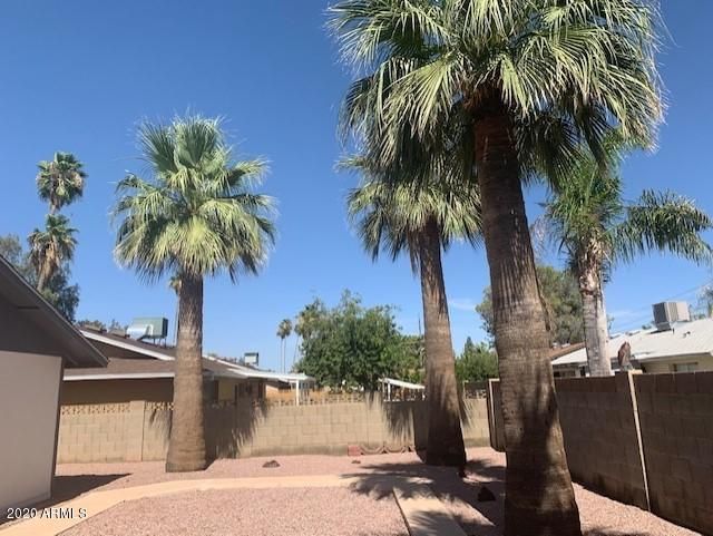 703 E Bell De Mar Dr, Tempe, AZ 85283
