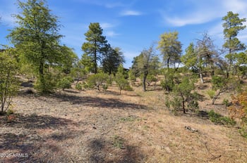 703 Snowberry Cir #856, Payson, AZ 85541