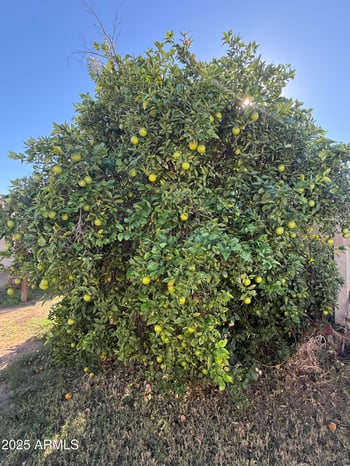 7038 Belleview St, Scottsdale, AZ 85257