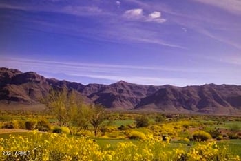 7039 Pinyon Village Cir #15, Gold Canyon, AZ 85118