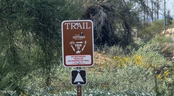 7050 Carriage Trails Dr, Scottsdale, AZ 85266