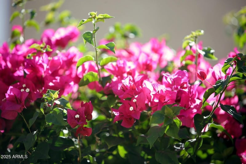 7054 Pontiac Dr, Glendale, AZ 85308