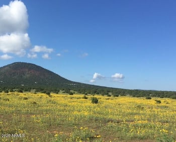 7065 Tulip Trl #9, Williams, AZ 86046